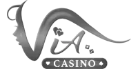 Visa icon